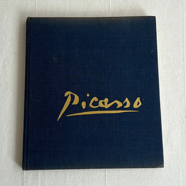 Picasso by Spring Art Books