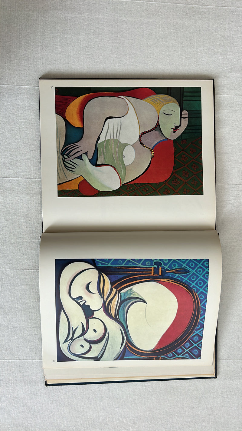 Picasso by Spring Art Books