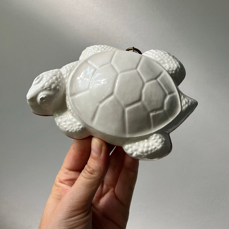 Turtle Shaped Ceramic Mold