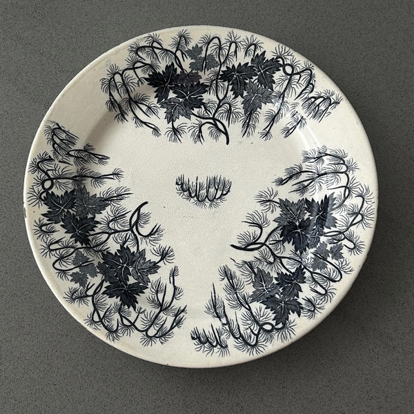 Antique Ceramic Plate