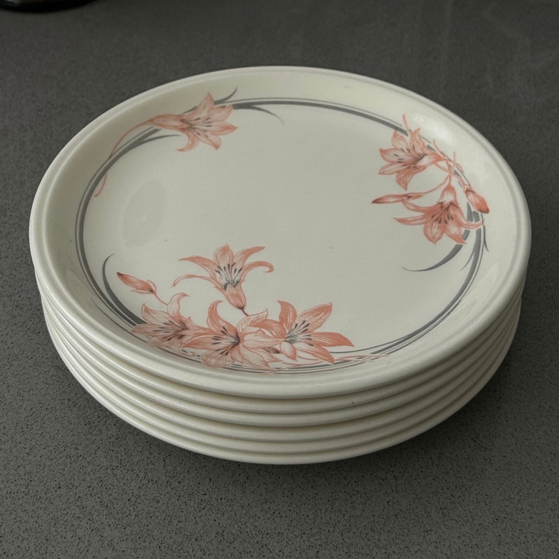 Ceramic Dessert Plates