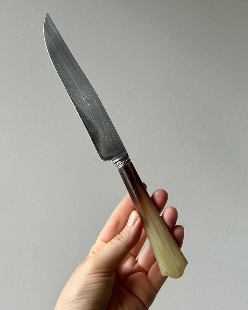 French Carving Set for Meat with Bakelite Handles
