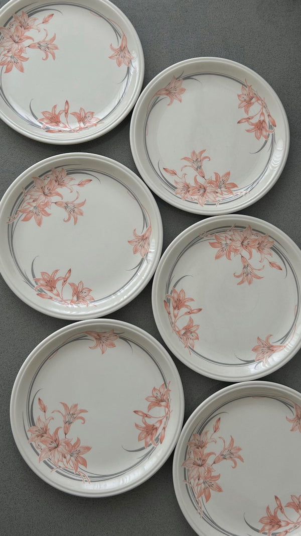 Ceramic Dessert Plates