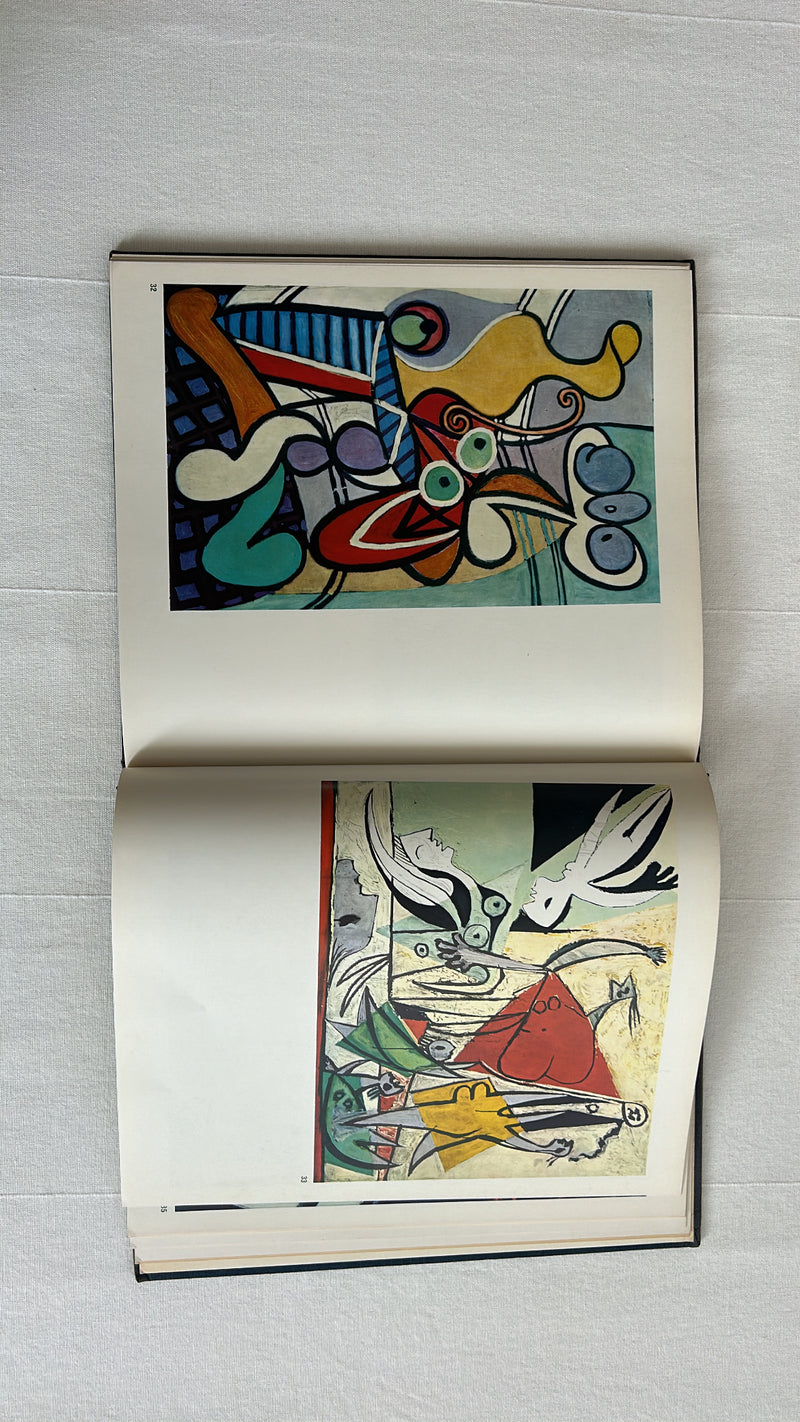 Picasso by Spring Art Books