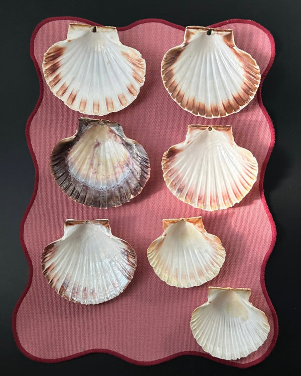 Set of Serving Shells