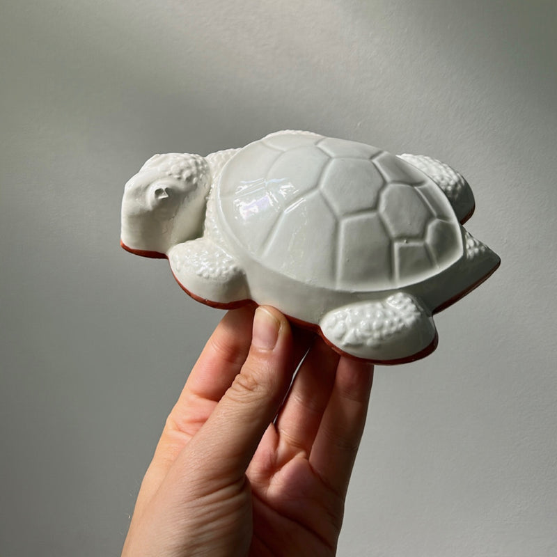 Turtle Shaped Ceramic Mold