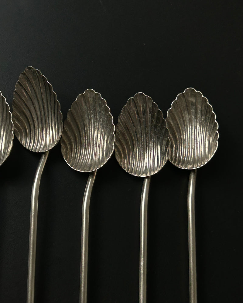 Set Of Long Spoons/Straws (6)