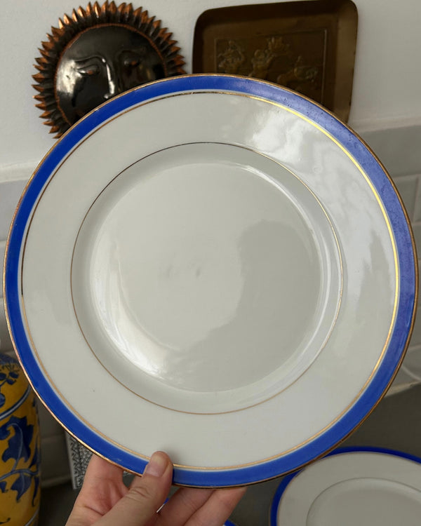 Limoges Porcelain Blue & Gold Dinner Plates (Set of 5)