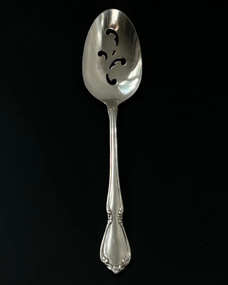 Stainless Steel Serving Spoon