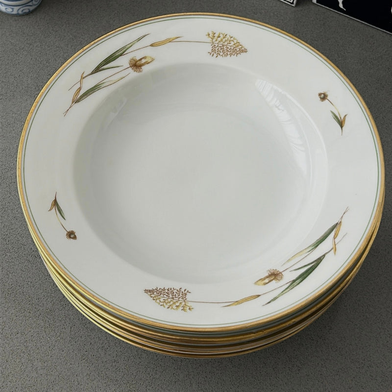 Kahla Porcelain Plates