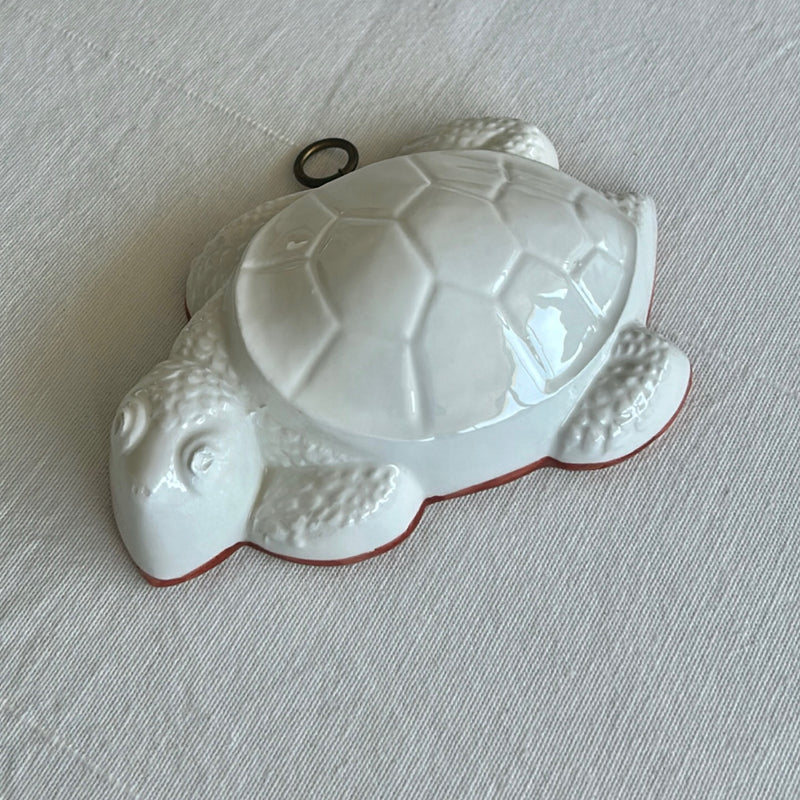 Turtle Shaped Ceramic Mold