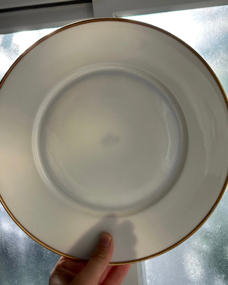 Set of 5 Large Rosenthal Porcelain Plates with Gold Rim