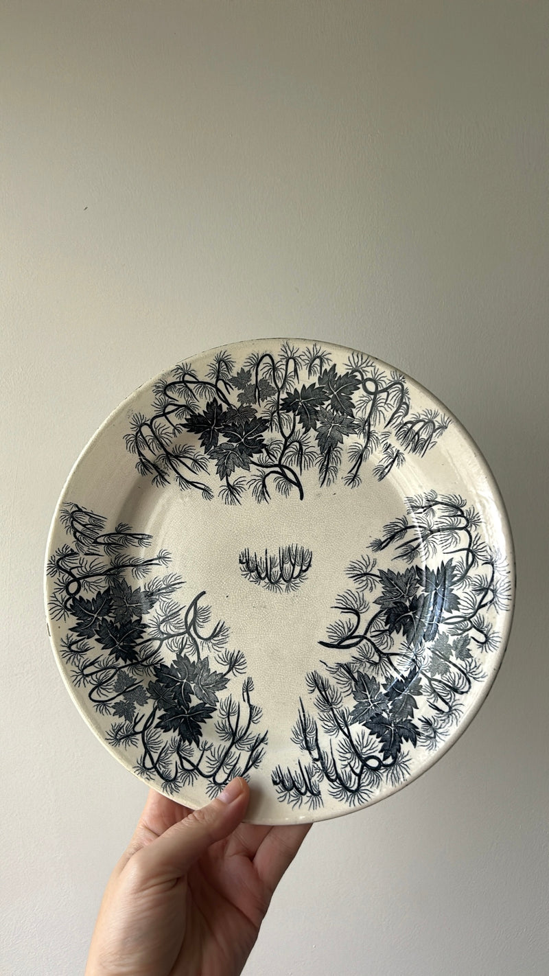 Antique Ceramic Plate