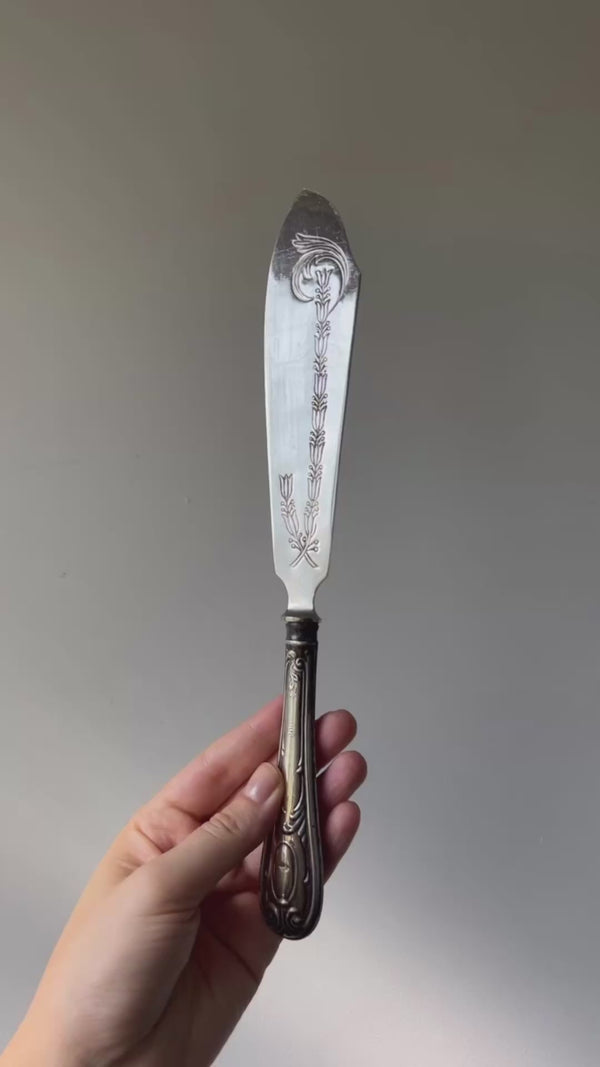 Antique Fish Serving Knife with Silver Handle